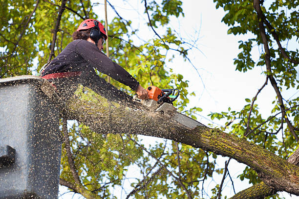 istockphoto-478261537-612x612