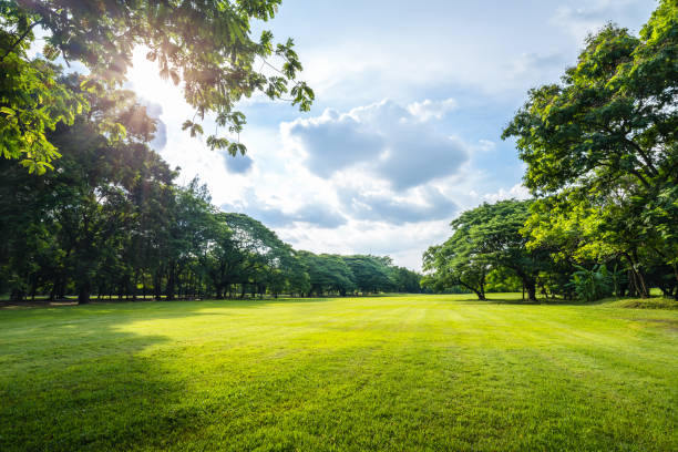 istockphoto-841278554-612x612